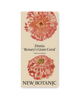 Zinnia 'Benary's Giant Coral' - Nyhet!