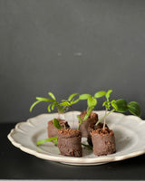 Cultivation briquettes 30 pieces