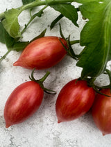 Tomat Artisan 'Pink Tiger', Ekologisk - Nyhet!