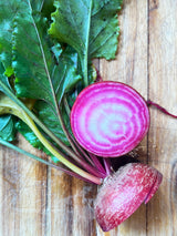 Polkabeta 'Chioggia', Ekologisk - Nyhet!