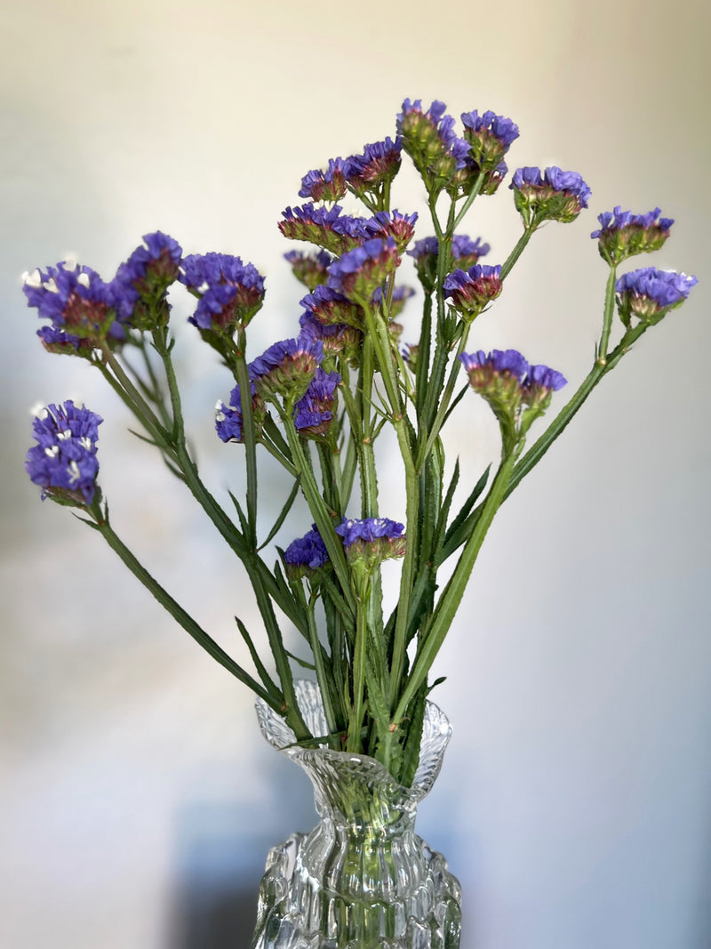Risp 'Pale Blue' - Nyhet!