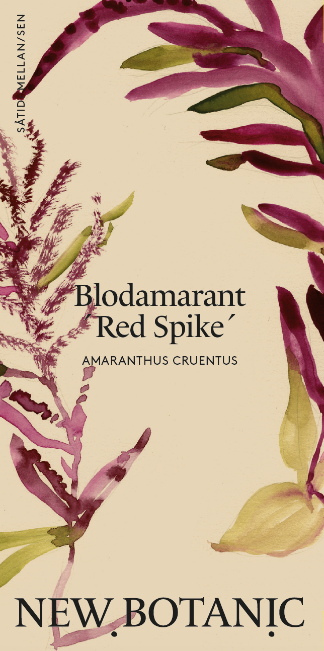Blodamarant 'Red Spike