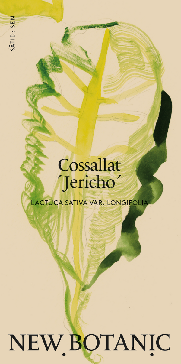 Cossallat 'Jericho'