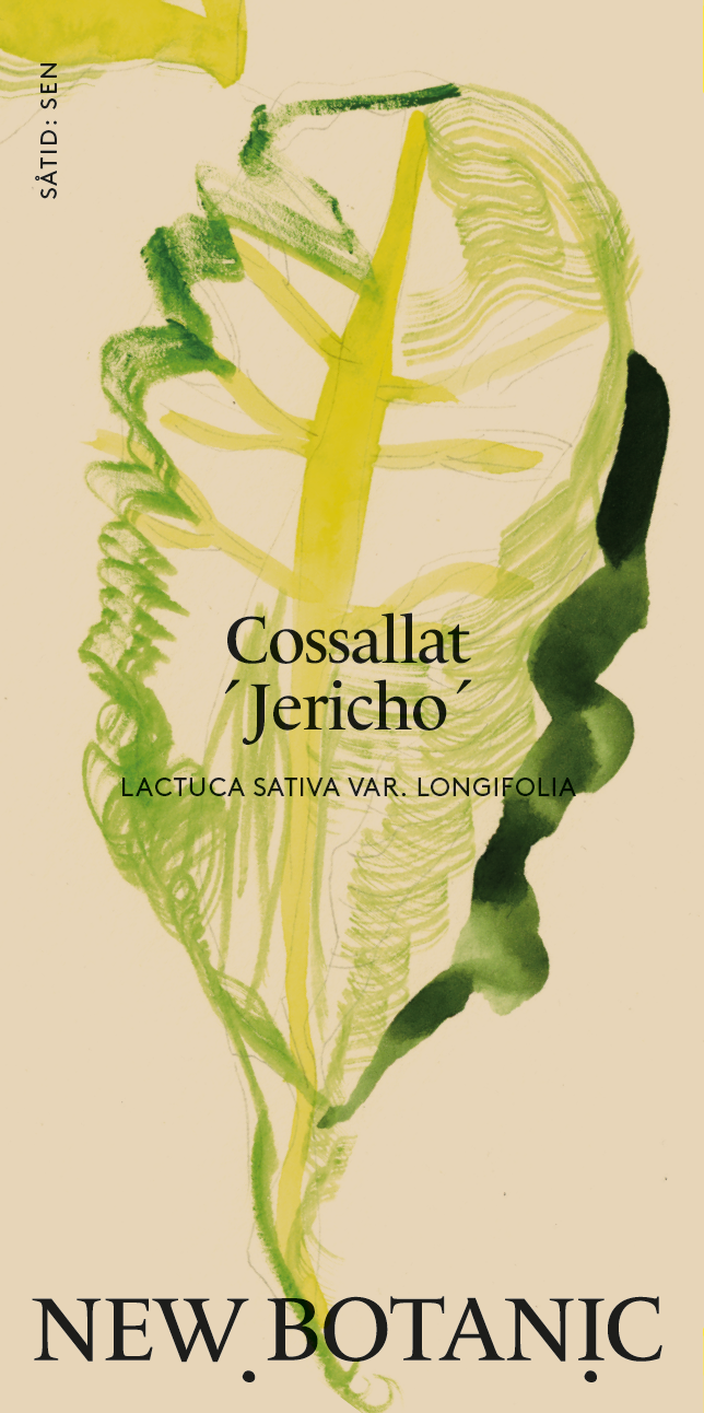 Cossallat 'Jericho'
