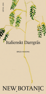 Italienskt Darrgräs