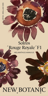 Solros 'Rouge Royal' F1