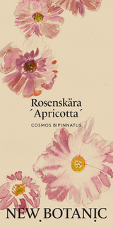 Rosenskära 'Apricotta'