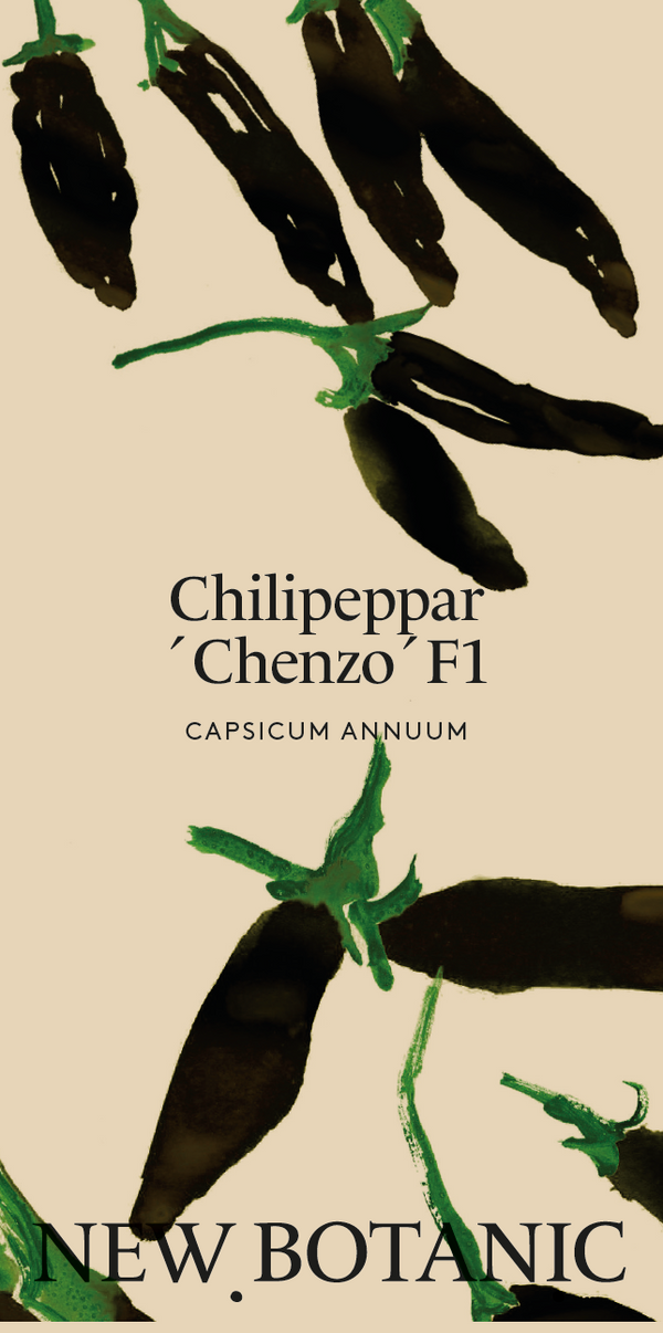Chilipeppar 'Chenzo'