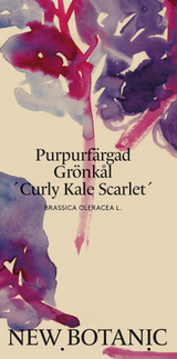 Purpurfärgad grönkål 'Scarlet'