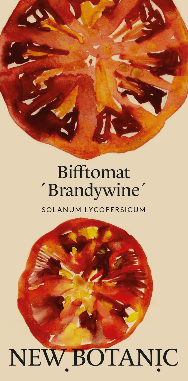 Bifftomat ´Brandywine´