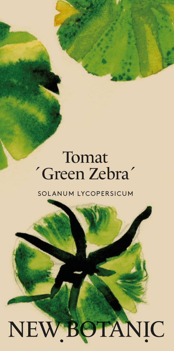 Tomat 'Green Zebra'