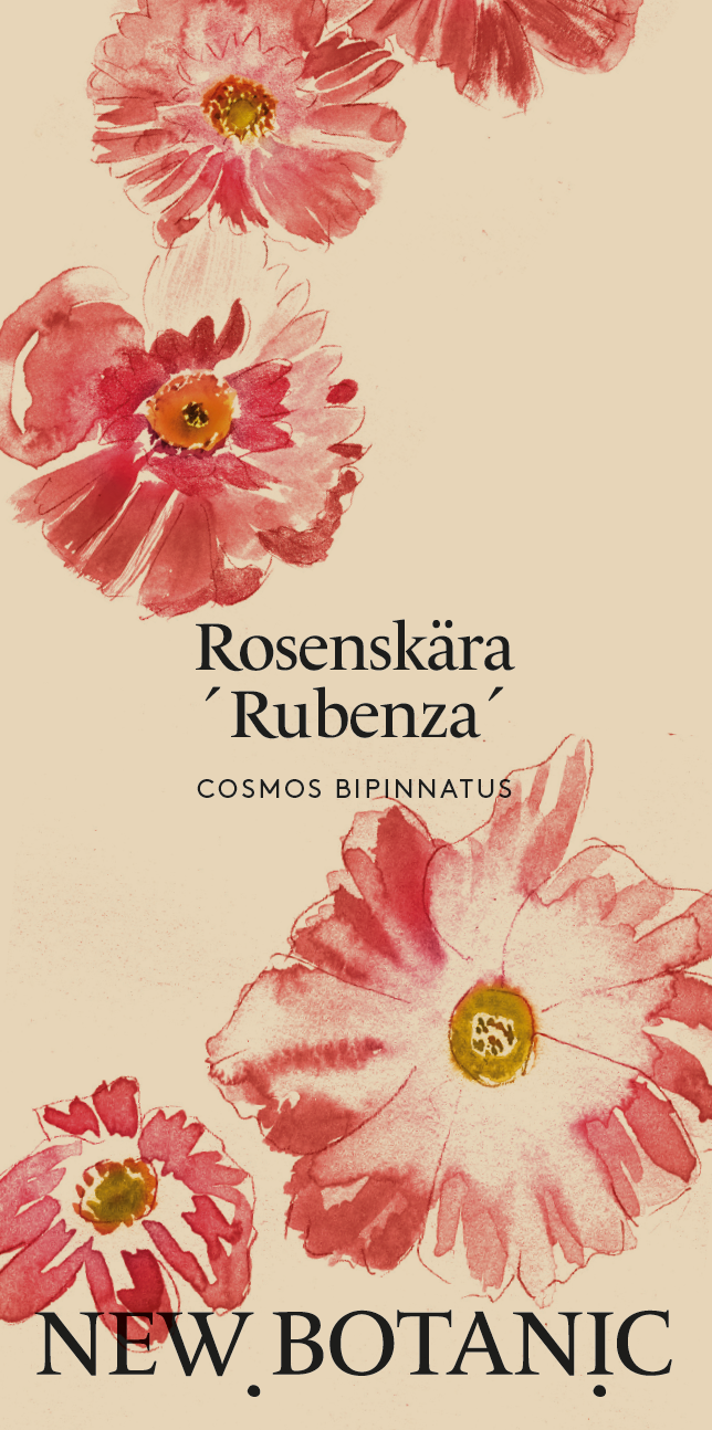 Rosenskära 'Rubenza'