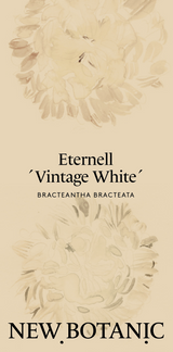 Nyhet! Eternell 'Vintage white'