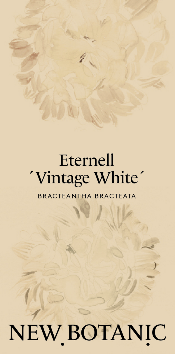 Eternell 'Vintage white’