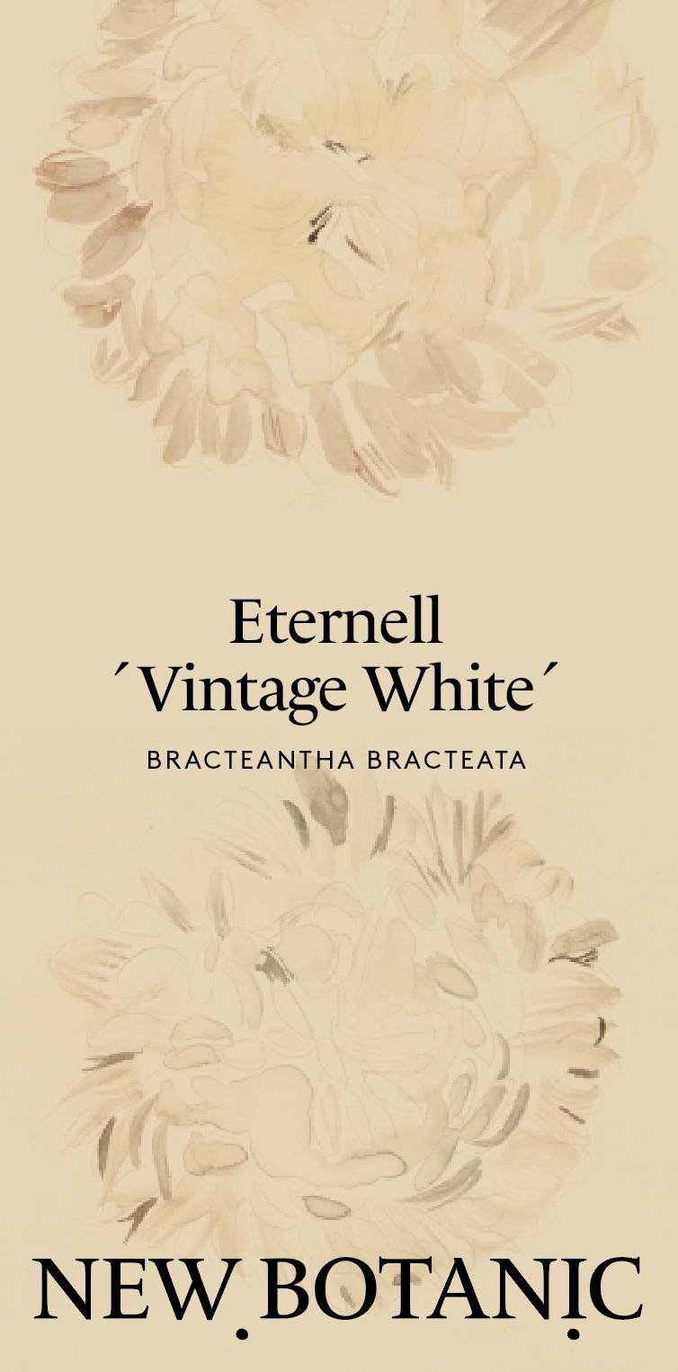 Nyhet! Eternell 'Vintage white'