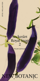 Sockerärt 'Royal snap' 2