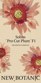Solros 'Pro Cut Plum' F1