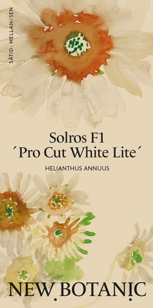 Solros 'Pro Cut White Lite' F1