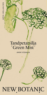 Tandpetarsilja ´Green Mist´