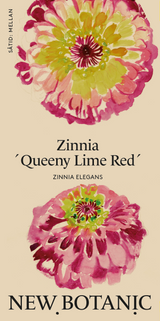 Zinnia ´Queeny Lime Red´