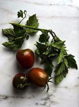Tomat 'Black Prince'