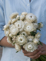 Eternell 'Vintage white’