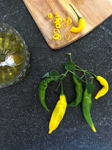Chili Tasting Collection - För den matlagningsintresserade som älskar hetta