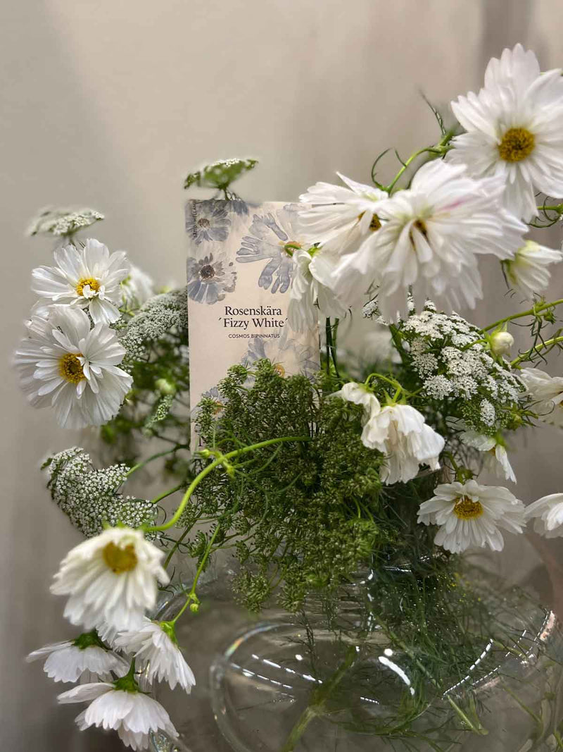 Lace Bouquet Collection