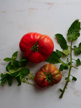 Tomato Tasting Collection - För den matlagningsintresserade