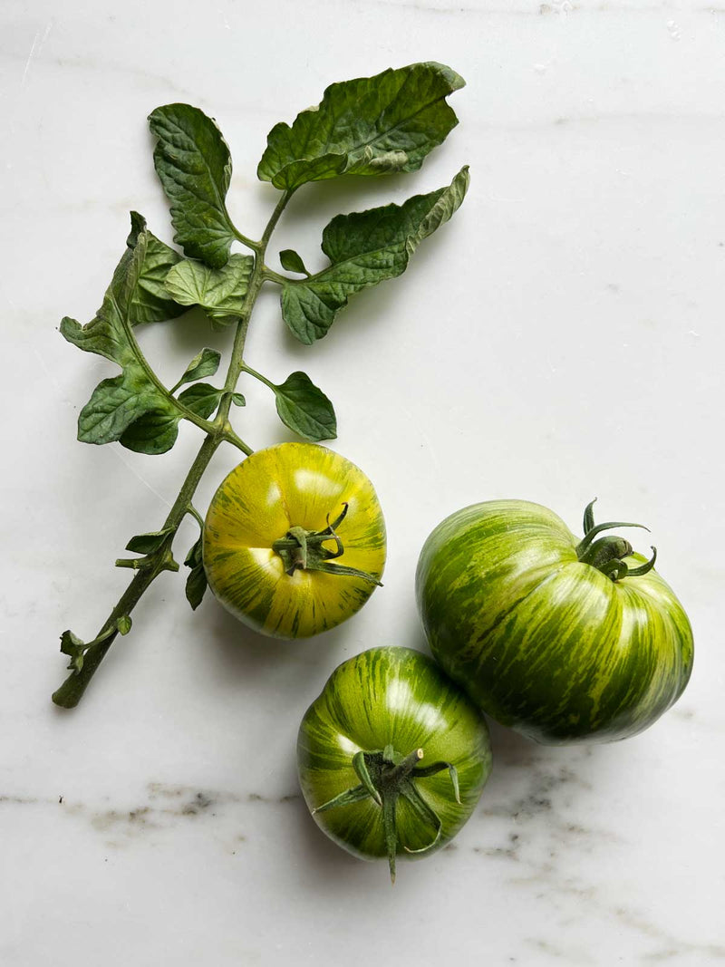 Tomat 'Green Zebra'
